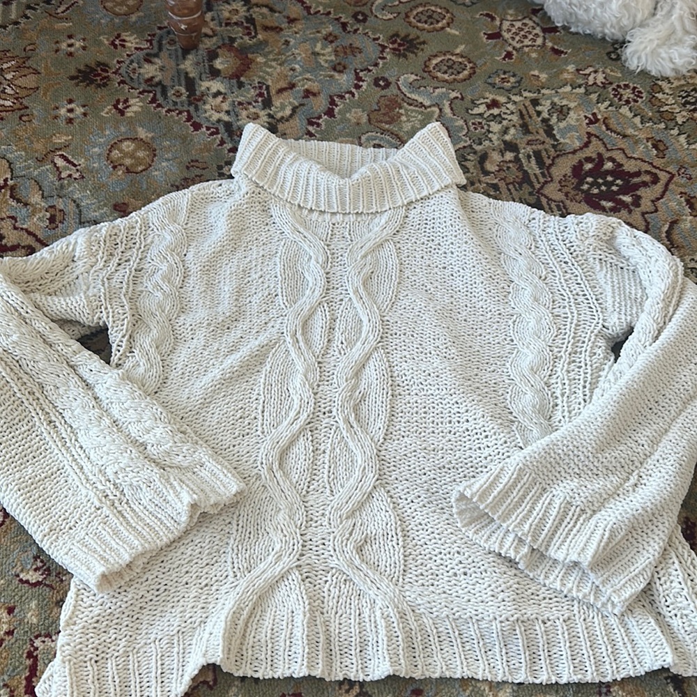 Charlotte Russe Turtle neck Sweater